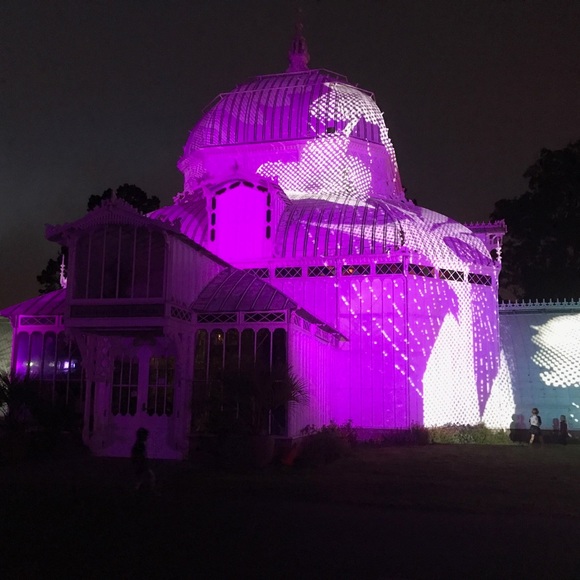 Meet your Posher, Anne ⭐️ Posh Ambassador ⭐️ - Picture 4 of 4